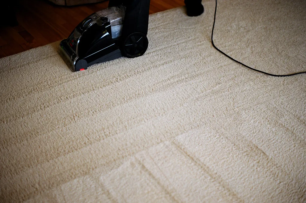 How Long Does Carpet Take to Dry? What the Number Tells You
