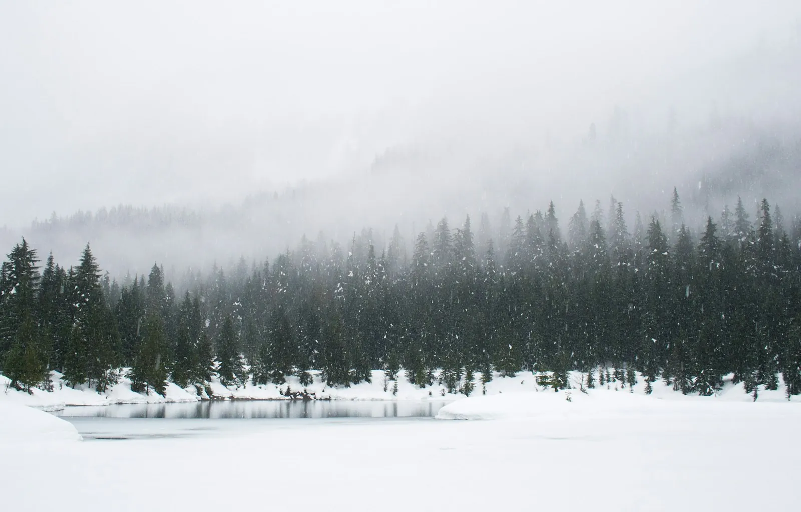 Winter Salt, Spring Mud: A Maryland Carpet Survival Guide